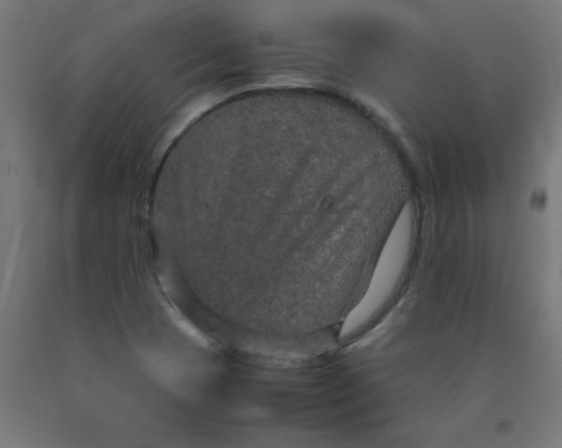 X0000090621409200707311234