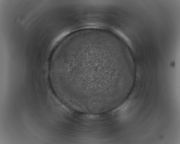 X0000090621411200707311234