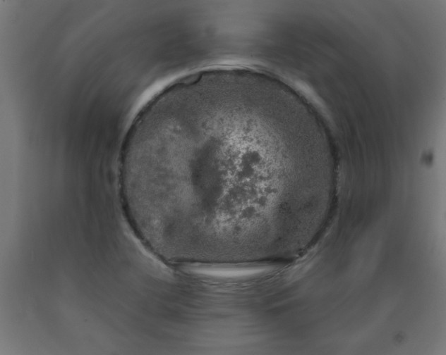 X0000090621412200707311234