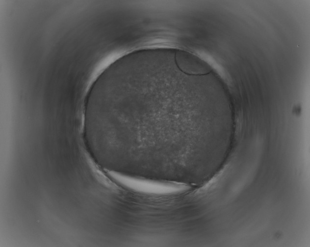 X0000090621413200707311234