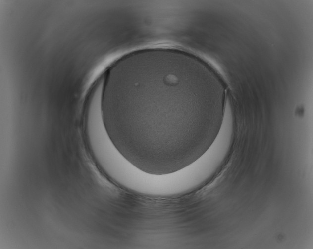 X0000090621414200707311234