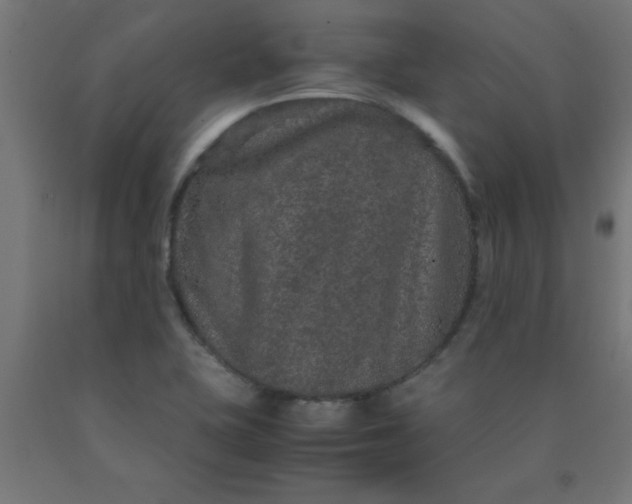 X0000090621415200707311234