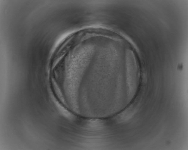 X0000090621416200707311234