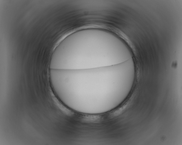 X0000090621417200707311234
