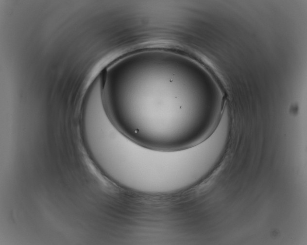 X0000090621418200707311234