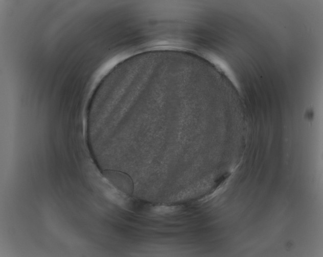 X0000090621419200707311234