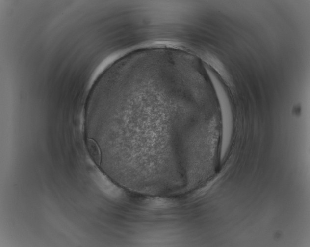 X0000090621420200707311234