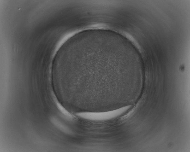 X0000090621421200707311234
