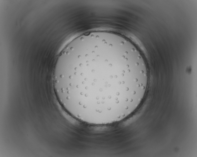 X0000090621425200707311234