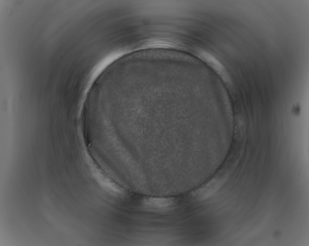 X0000090621427200707311234