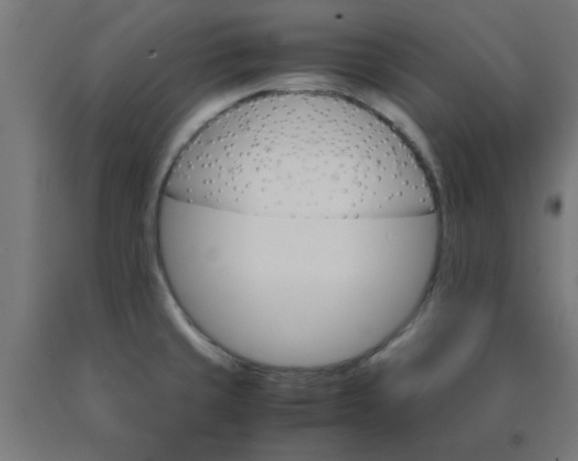 X0000090621429200707311234