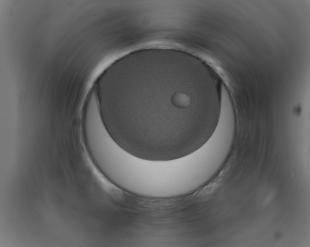 X0000090621430200707311234