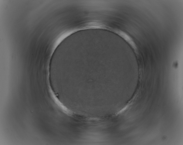 X0000090621431200707311234