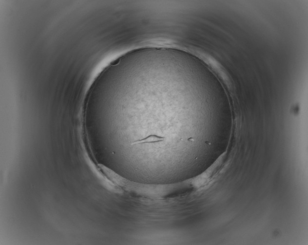 X0000090621432200707311234