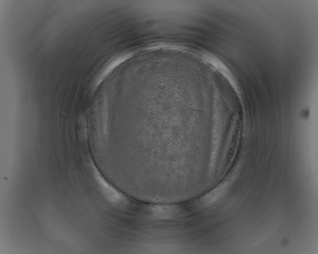 X0000090621433200707311234