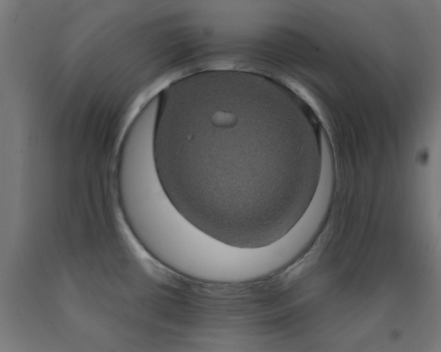 X0000090621434200707311234