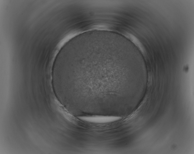 X0000090621435200707311234