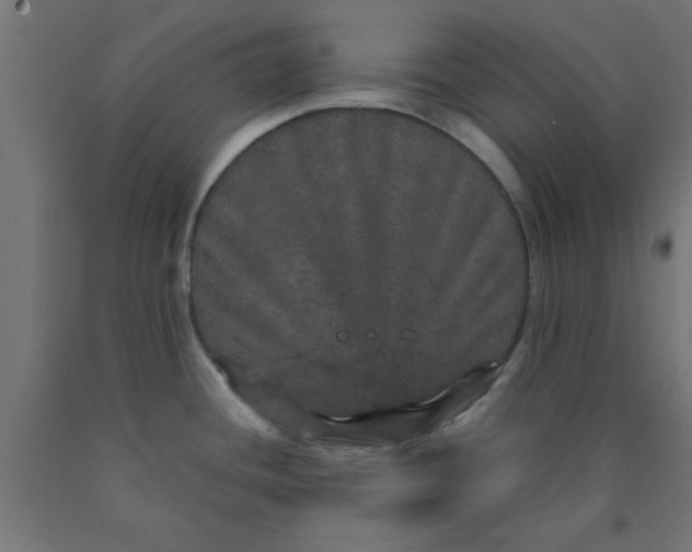 X0000090621436200707311234
