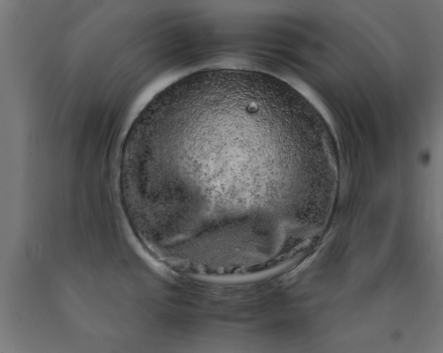 X0000090621437200707311234