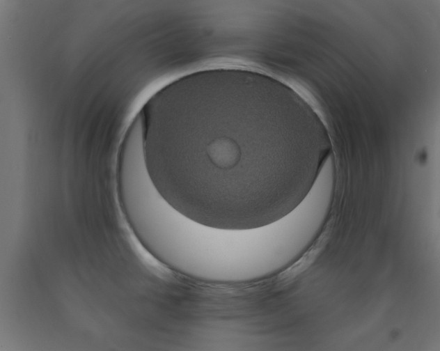 X0000090621438200707311234