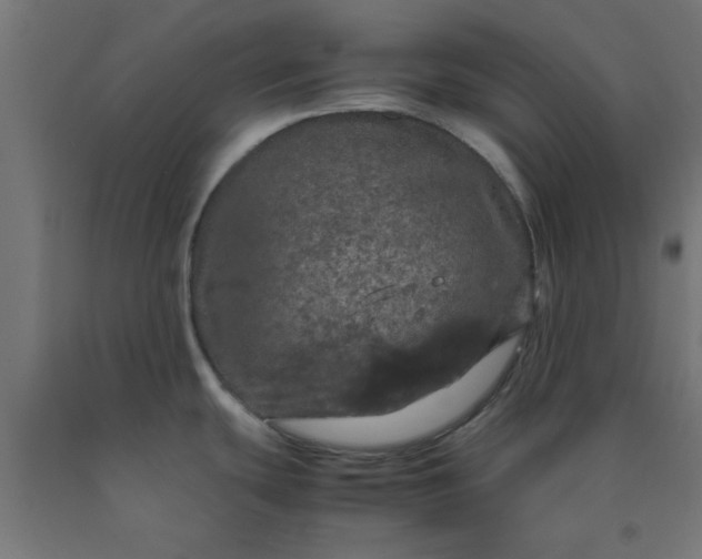 X0000090621439200707311234