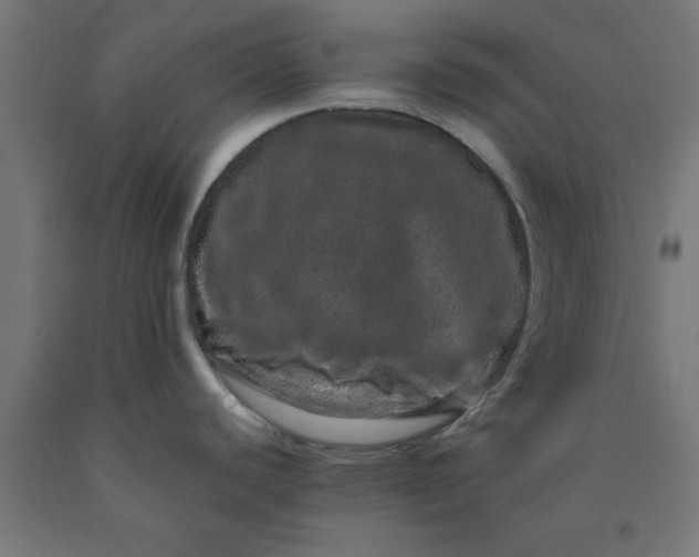 X0000090621440200707311234