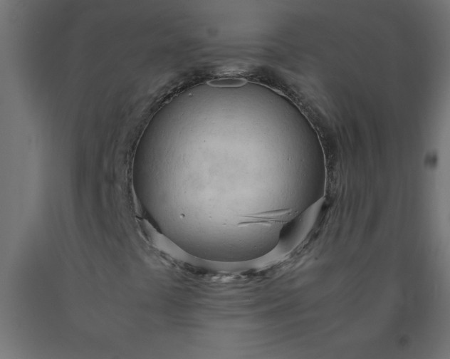 X0000090621441200707311234
