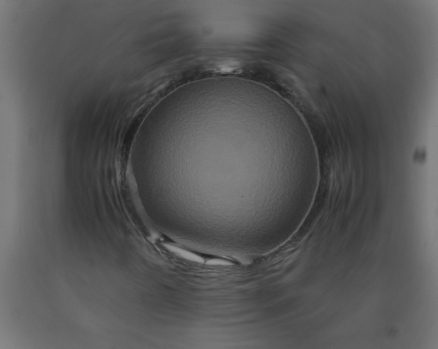 X0000090621442200707311234