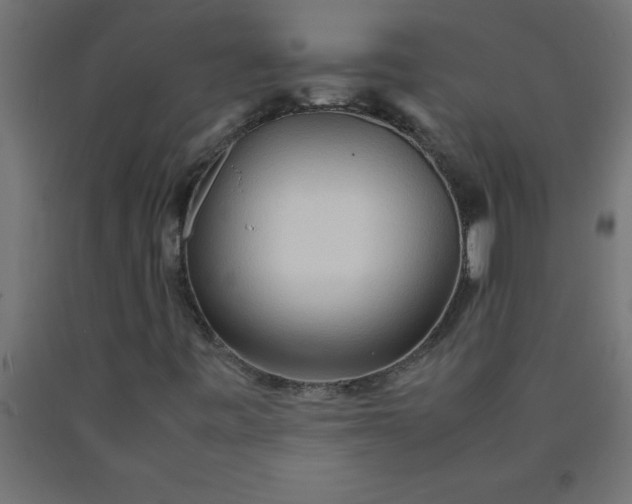 X0000090621443200707311234