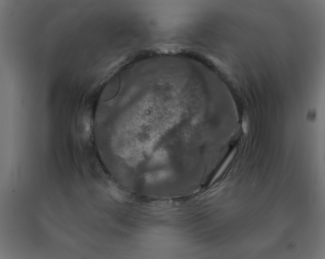 X0000090621444200707311234