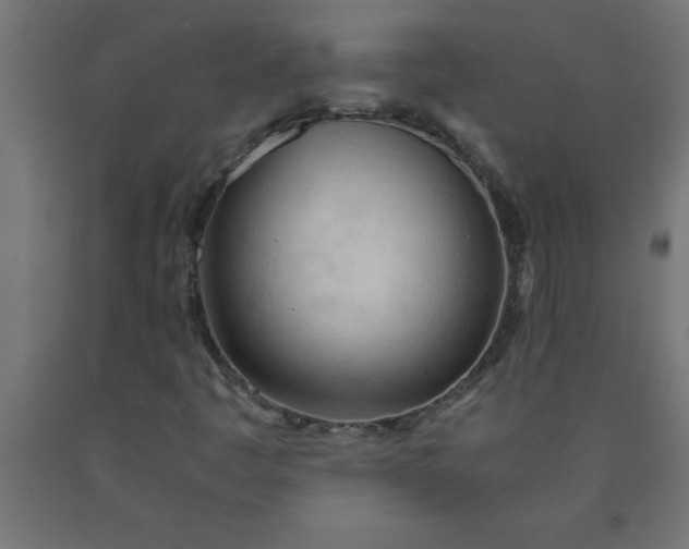 X0000090621445200707311234