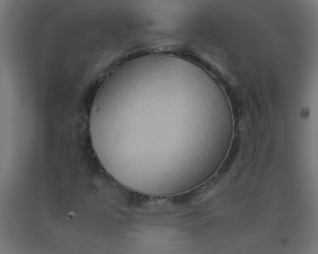 X0000090621447200707311234