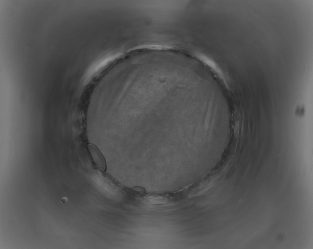X0000090621448200707311234
