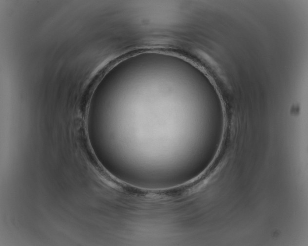 X0000090621449200707311234