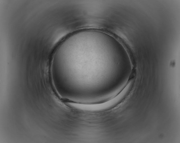 X0000090621450200707311234