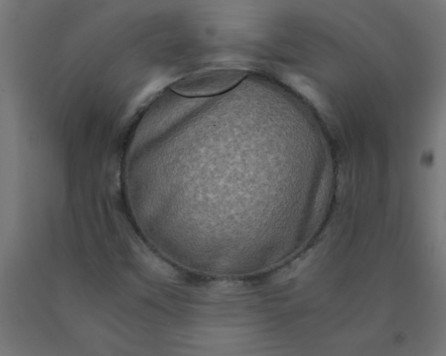 X0000090621451200707311234