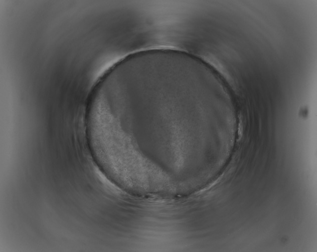 X0000090621452200707311234