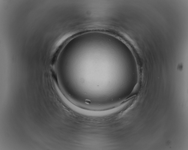 X0000090621453200707311233