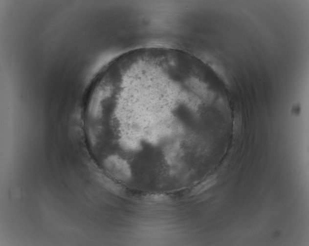 X0000090621454200707311233
