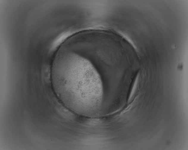 X0000090621455200707311233