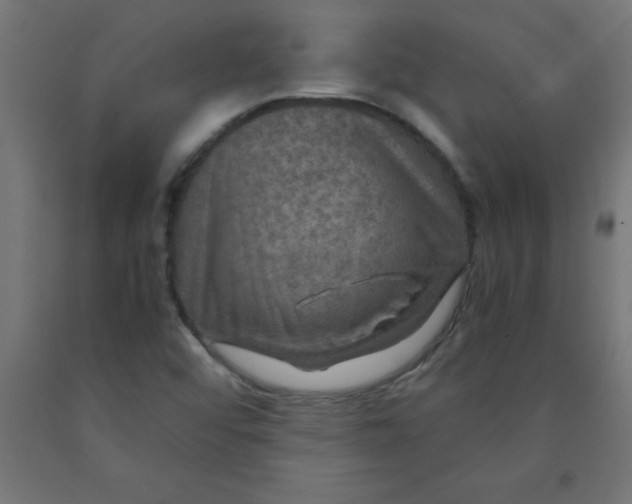 X0000090621456200707311233