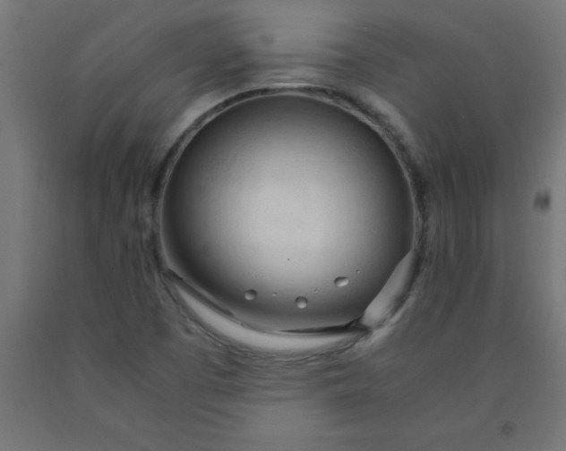 X0000090621457200707311233