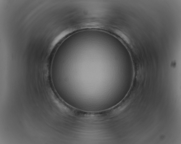 X0000090621458200707311233