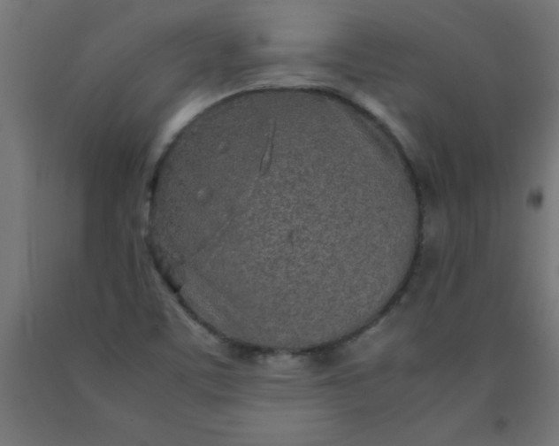 X0000090621459200707311233