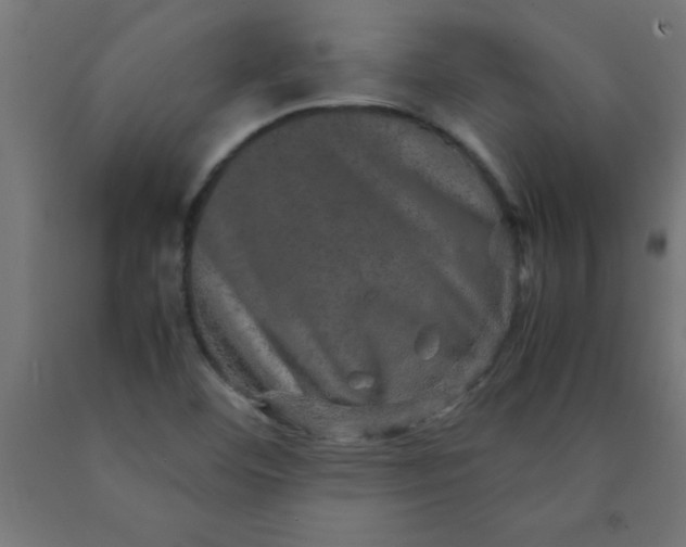 X0000090621460200707311233