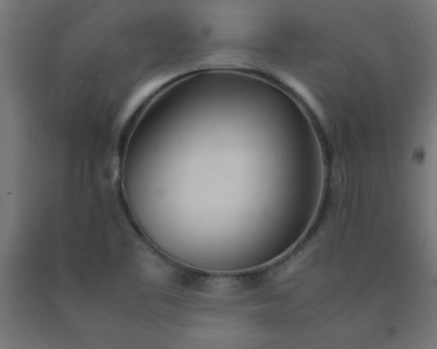 X0000090621461200707311233