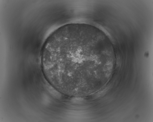 X0000090621462200707311233
