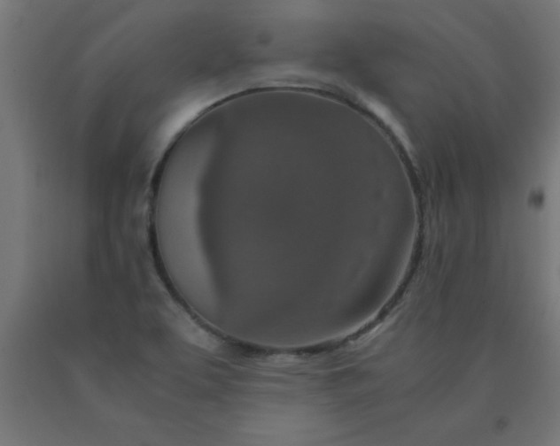 X0000090621463200707311233
