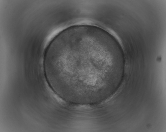 X0000090621464200707311233
