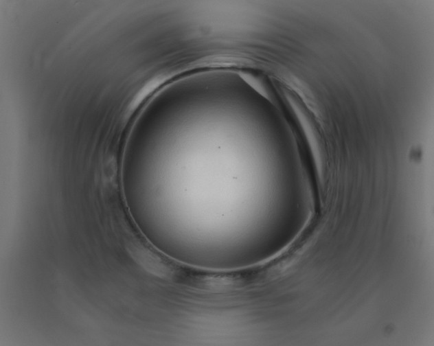 X0000090621465200707311233